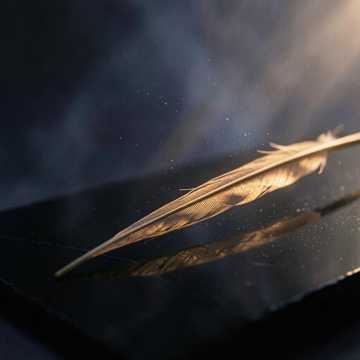 Moonlit Reed Waltz 2